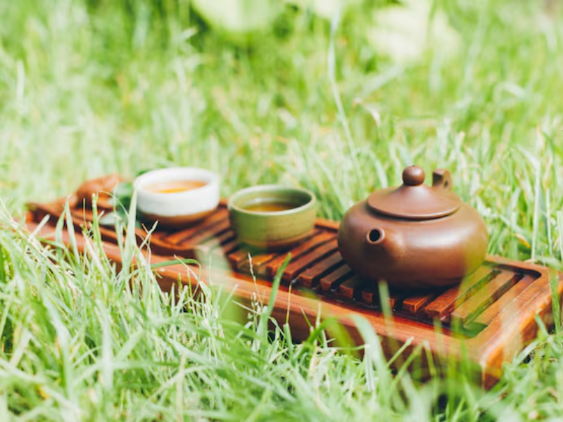 How to Enjoy Your Teas Outdoors? A Guide For You!