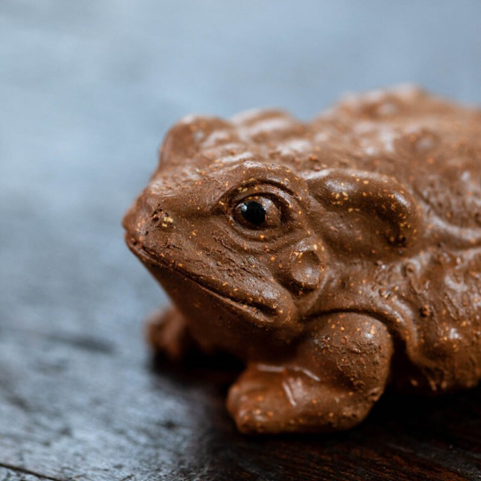 The Cute Toad  Purple Clay Tea Pet