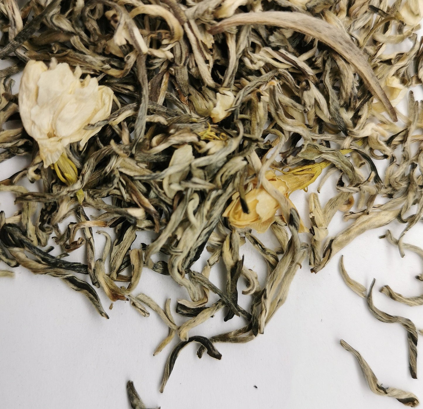 White Tea - Jasmine Yin Zhen