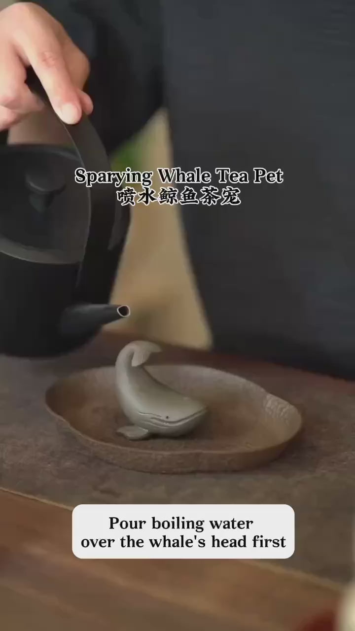 Spouting Whale Ceramic Tea Pet